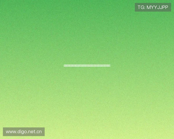 活塞新首发邓罗斯图尔特奥萨尔坎宁安杜伦冲击新赛季重建希望篮球未来 活塞新首发邓罗斯图尔特奥萨尔坎宁安杜伦冲击新赛季重建希望篮球未来