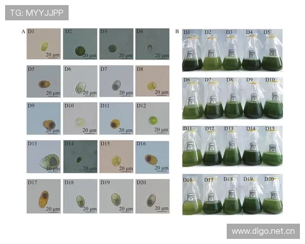 职业俱乐部休赛期球员疲劳恢复的生化指标